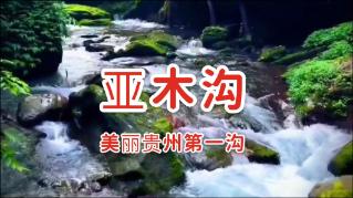 广东省农业农村厅召开全省农产品质量安全形势会商会